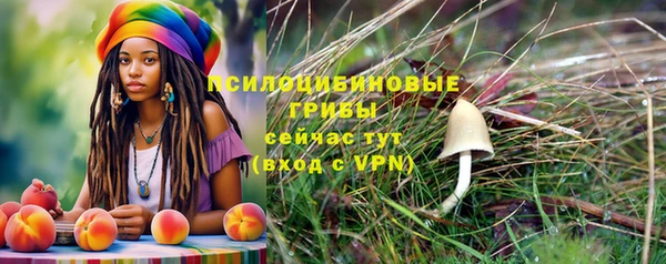 2c-b Абаза
