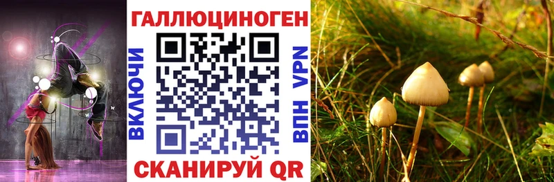 Галлюциногенные грибы Psilocybe наркота Торопец